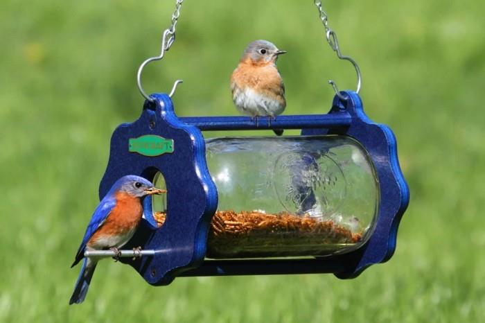 Ανακυκλώστε το μπινελίκι Φτιάξτε έναν τροφοδότη πουλιών Μειώστε τα απορρίμματα Φτιάξτε μόνοι σας ένα σπίτι πουλιών