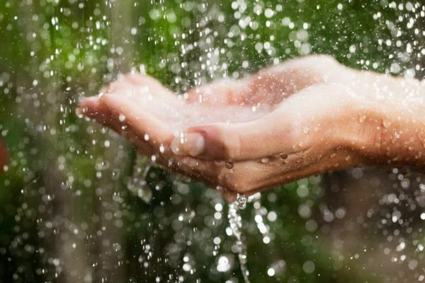 Χρησιμοποιήστε το νερό της βροχής με διάφορους τρόπους