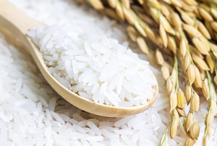 Δίαιτα ρυζιού πολλά διαφορετικά είδη ρυζιού, διαφορετικά σε σχήμα και χρώμα