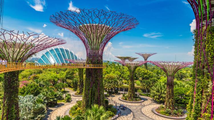 Προορισμοί 2020 φουτουριστικοί κήποι της Σιγκαπούρης από άγνωστα είδη δέντρων στον κόλπο
