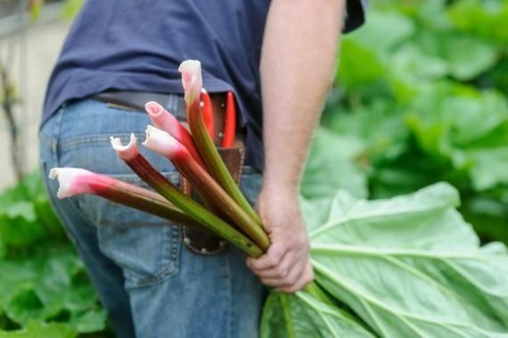 River Cottage με τον Craig Rudman (4 Σεπτεμβρίου 2012)