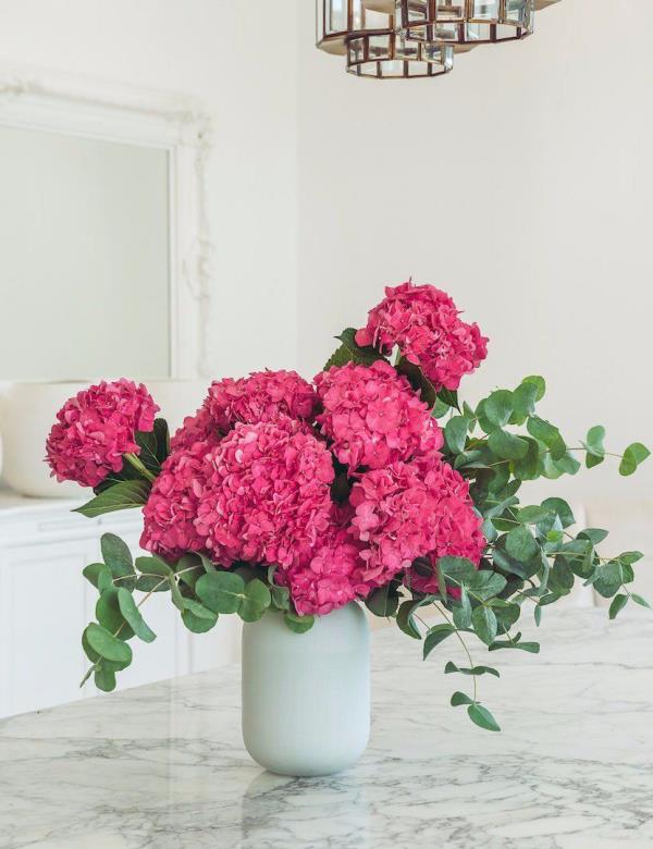 Ροζ ορτανσίες ροζ έως κόκκινα όμορφα μεγάλα λουλούδια διατεταγμένα σε λευκό βάζο
