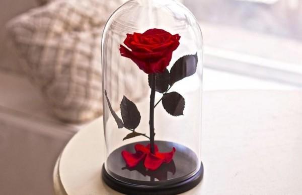 Το τριαντάφυλλο σε ένα ποτήρι σε ένα βοηθητικό τραπέζι προσελκύει την προσοχή όλων
