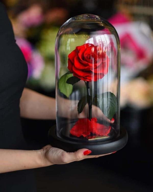 Το τριαντάφυλλο σε ένα ποτήρι είναι το τέλειο δώρο για να δώσει μεγάλη χαρά