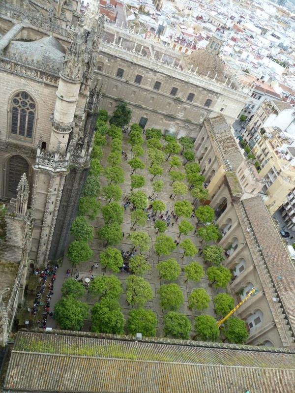 Αυλή του καθεδρικού ναού Santa Maria de la Sede sevilla