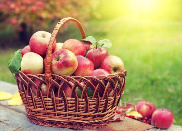 Ένα ψάθινο καλάθι γεμάτο κόκκινα μήλα είναι ένας υγιεινός τρόπος για να ικανοποιήσετε τη λαχτάρα για φαγητό
