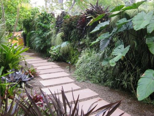 Σκιερός κήπος με τροπικά φυτά δημιουργούν πεζοδρόμιο