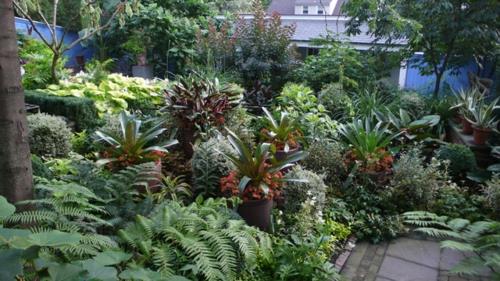 Ένας σκιώδης κήπος με τροπικά φυτά δημιουργεί μια ποικιλία φυτικών ειδών