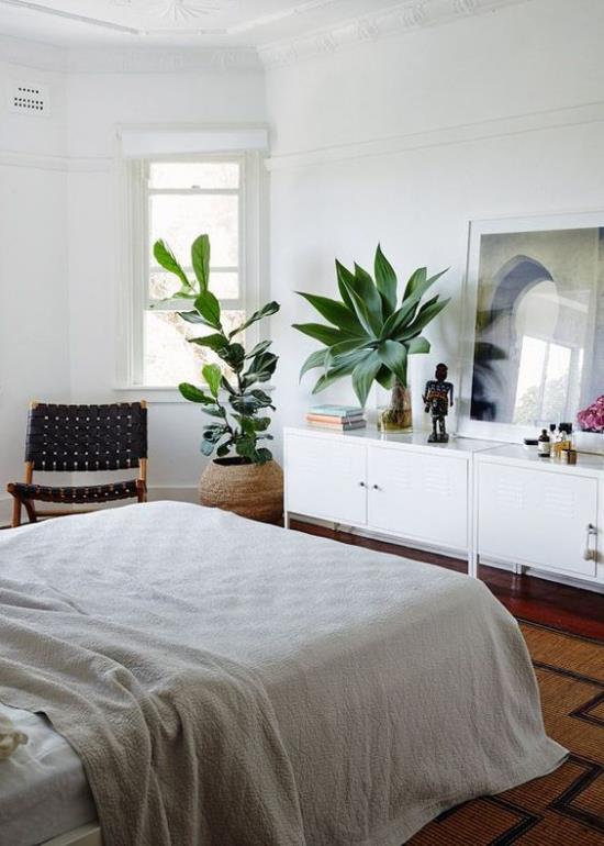 Υπνοδωμάτιο πολυτελείς πινελιές από αειθαλή φυτά φρεσκάρουν τον εσωτερικό αέρα