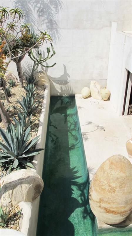 Στενές πισίνες με μικρό χώρο για μικρούς κήπους πολύ στενή πισίνα εξωτικά φυτά της ερήμου, μαροκινό στιλ όλα σε λευκό χρώμα