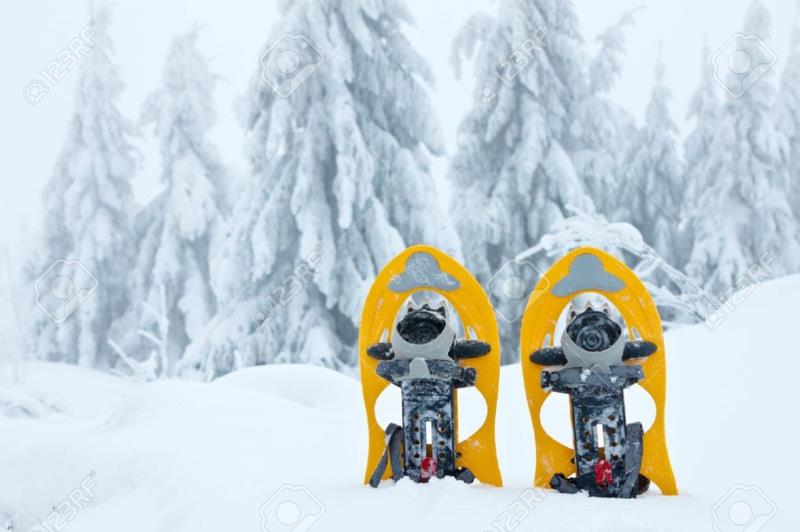 Χιονοπόδι γυναίκες κίτρινη πεζοπορία στις χειμερινές διακοπές χιονιού
