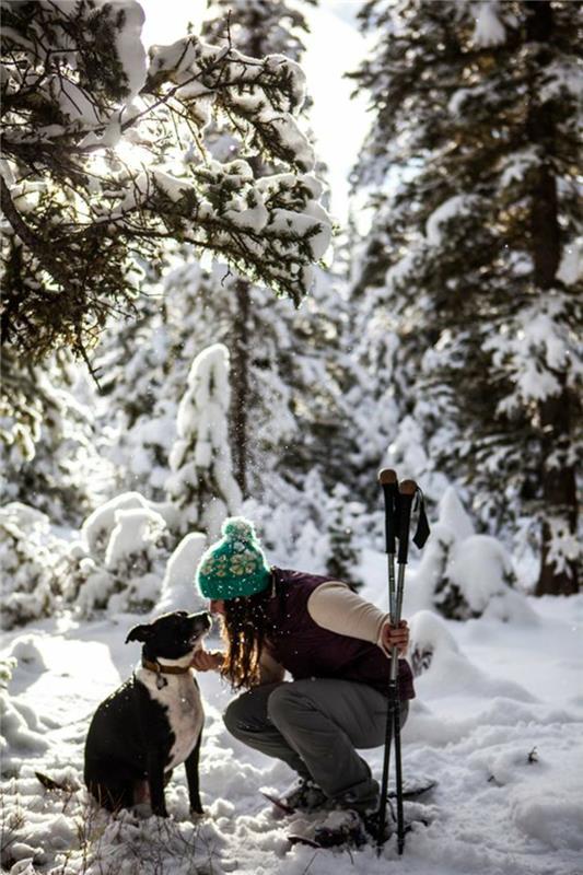 Χιονοπέδιλα χειμερινές διακοπές στο δάσος με σκύλο