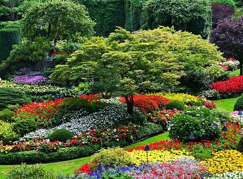 Όμορφος κήπος με κομψά διαμορφωμένα φυτά σχεδιασμού κήπου