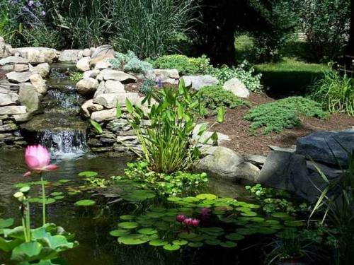 Όμορφος κήπος κομψά διαμορφωμένο νερό εξωραϊσμού