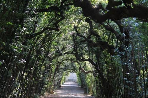 Τα πιο όμορφα μέρη για πικνίκ στη μέση της φύσης Boboli Gardens Φλωρεντία