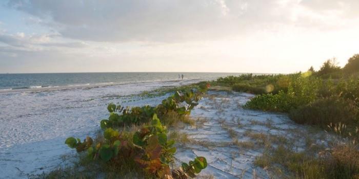 Οι πιο όμορφες παραλίες του κόσμου Sanibel Island Florida