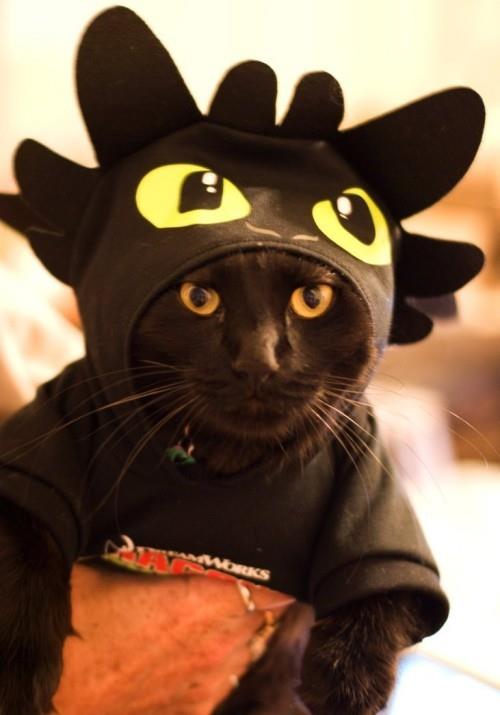Κοστούμι μαύρης γάτας