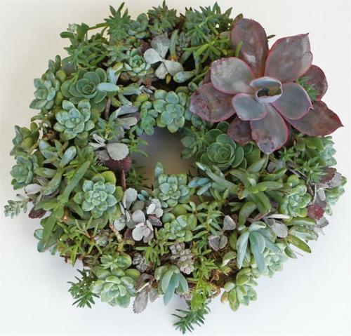 Σπιτικά διακοσμητικά κήπου DIY σχεδιασμός στεφάνων παχύφυτα