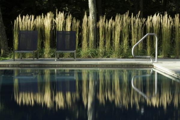 φωτεινή πισίνα μοντέρνα οθόνη απορρήτου στον κήπο διακοσμητικά χόρτα