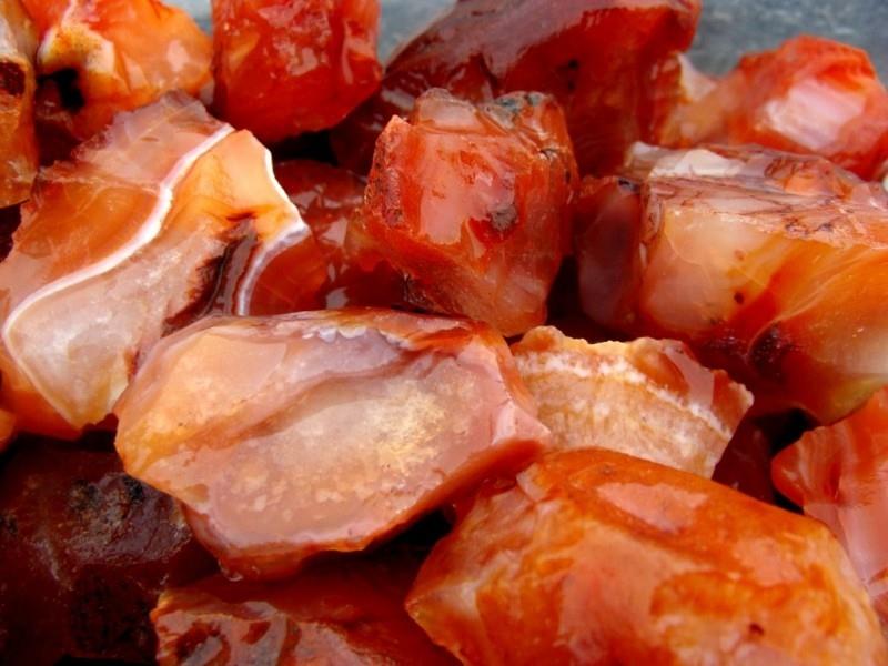 Ζωδιακοί Σκορπιοί πολύτιμοι λίθοι καρνελιανοί