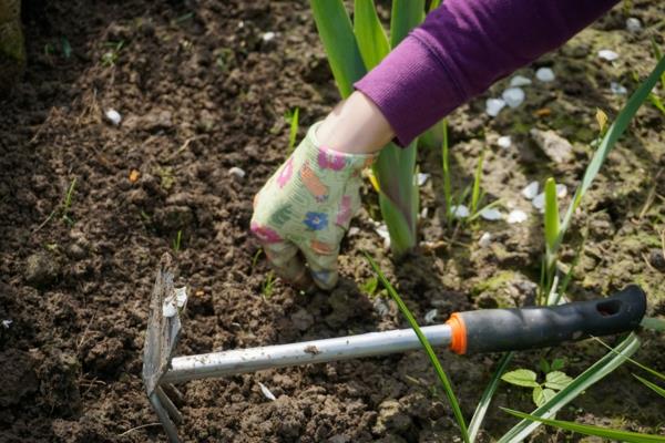 Καλοκαίρι 2021 Πώς να προετοιμάσετε τον κήπο σας για την επόμενη σεζόν4