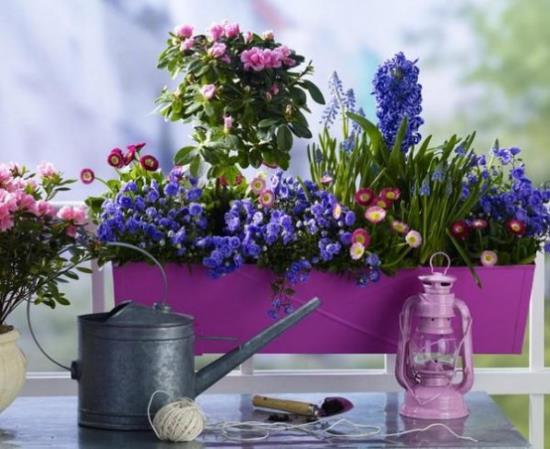 Οι καλοκαιρινές ιδέες διακόσμησης λουλουδιών διακοσμούν το μπαλκόνι με πολύχρωμα λουλούδια