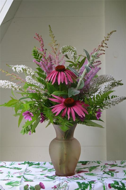 Φυτό Coneflower - αξίζει να γνωρίζετε και να φροντίζετε συμβουλές για τη διάταξη βάζου καλοκαιρινής ανθοφορίας schnittblume