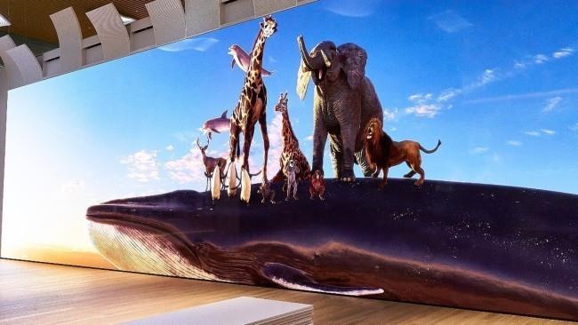 Η Sony παρουσιάζει την πρώτη οθόνη 16K που είναι μεγαλύτερη από ένα λεωφορείο που δείχνει άγρια ​​ζωή σε φυσικό μέγεθος