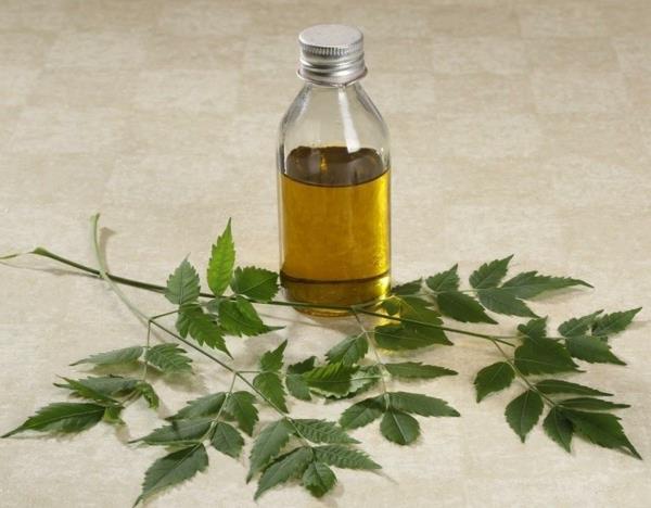 Τα ακάρεα αράχνης καταπολεμούν τα φυσικά έλαια του neem oil