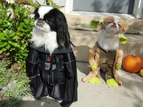 Star Wars για σκύλους Darth Vader Yoda Ewok