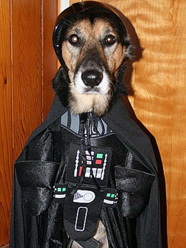Star Wars για σκύλους Darth Vader evil
