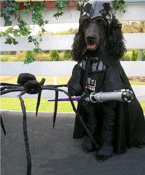 Σκύλοι Star Wars Darth Vader μαύροι