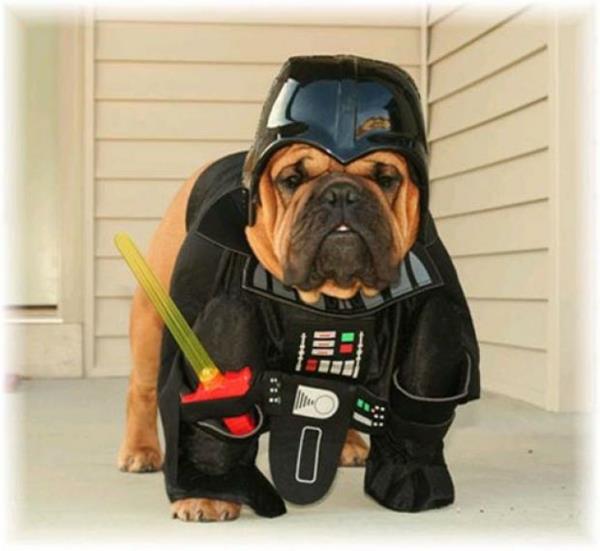 Κοστούμια σκυλιά Darth Vader άγρια ​​ζωή