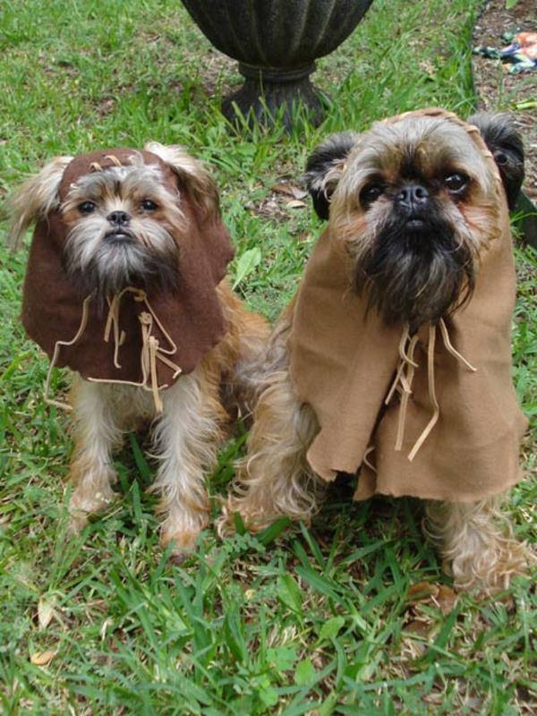 Κοστούμια με θέμα τα σκυλιά του Star Wars