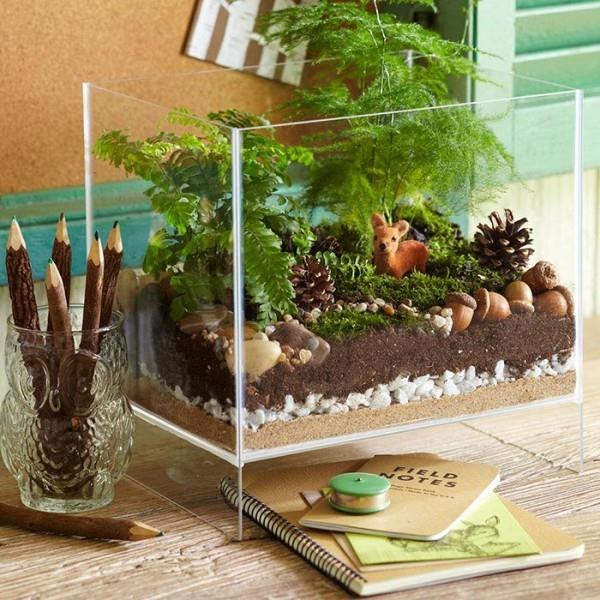 Terrarium χαλίκι μικρές πέτρες διαπερατή βάση για φυτά