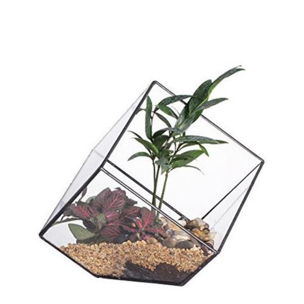 Terrarium ασυνήθιστο γυάλινο δοχείο υπέροχο μάτι στο δωμάτιο