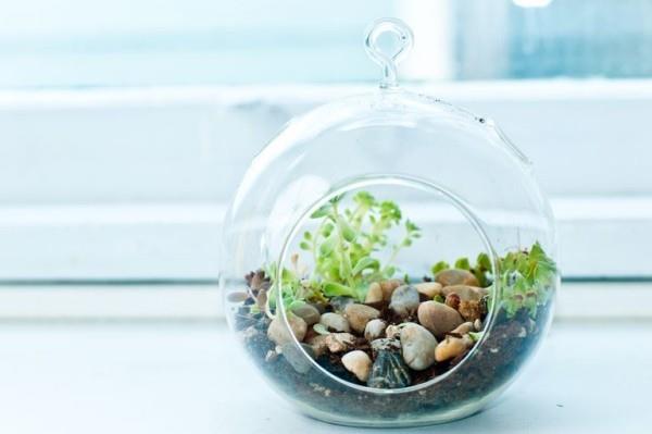 Terrarium σχεδιασμός πολύ κομψό κόσμημα στις εσωτερικές ιδέες