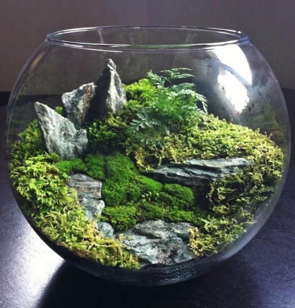 Τα Terrarium κάνουν πολύ κομψά κοσμήματα στο εσωτερικό