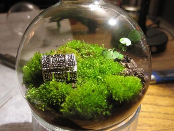 Terrarium μικρός θάλαμος θησαυρού ως κόσμημα