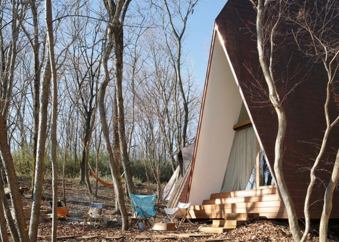 Σκηνή Teepee στις πρωινές δασικές ηλιαχτίδες