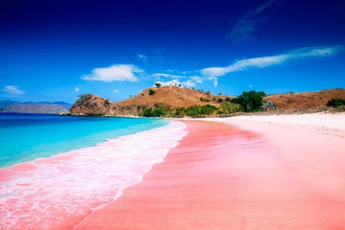 Τοπ 5 πιο όμορφες παραλίες στον κόσμο Μοναδική ομορφιά Pink Sand Beach