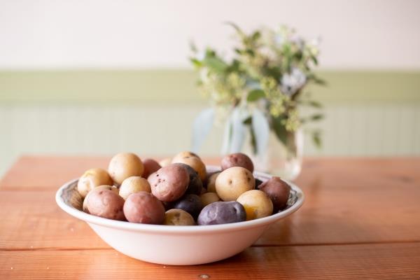 Παραδοσιακές και νόστιμες ιδέες ρακλέτας για το τηγάνι με συμβουλές για πολύχρωμες ποικιλίες πατάτας