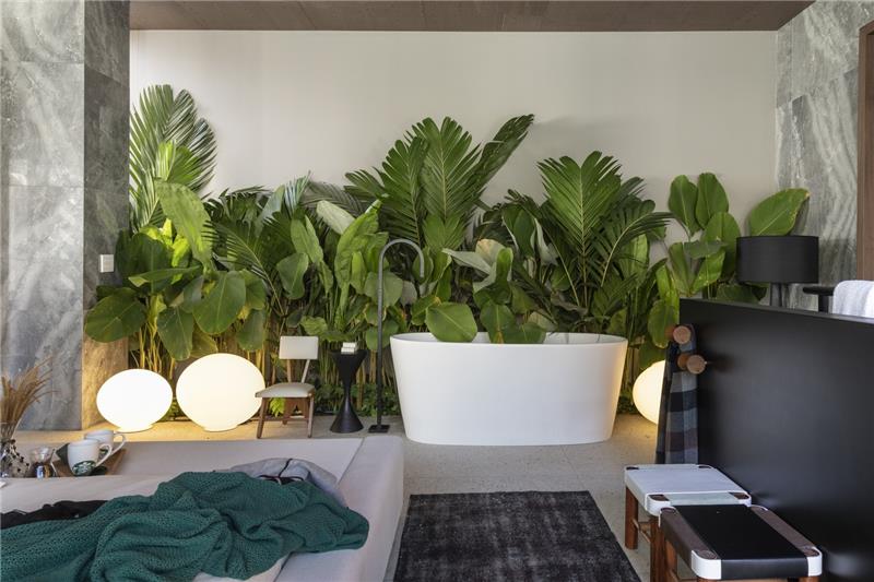 Ονειρική κατοικία τοίχου με πράσινα φυτά