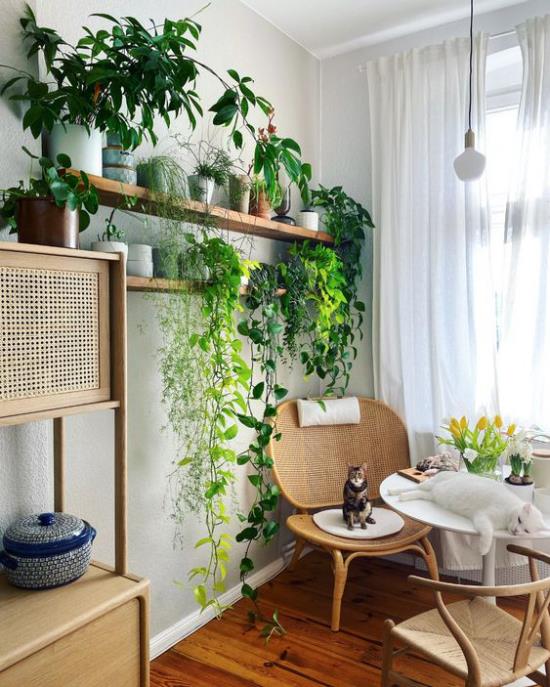 Τάσεις 2021 στην εσωτερική διακόσμηση ζεστή τραπεζαρία πολλά πράσινα φυτά γάτα ξύλο φυσικά υλικά
