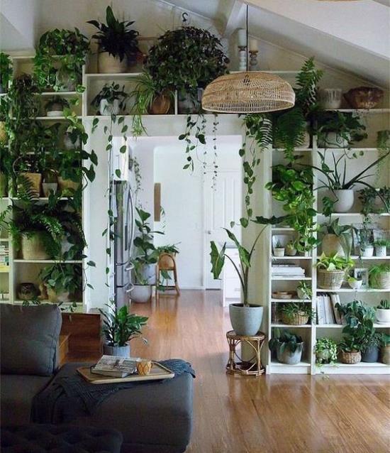 Οι τάσεις 2021 στην εσωτερική διακόσμηση καταπράσινα πολυάριθμα εσωτερικά φυτά ράφια καλύτερη διακόσμηση δωματίου