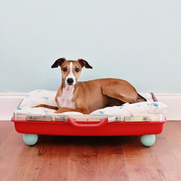 Μοντέρνα έπιπλα από παλιές βαλίτσες για να κάνετε κόκκινο το κρεβάτι του σκύλου σας
