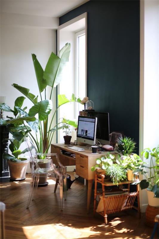Τροπική διακόσμηση στη ζούγκλα του γραφείου του σπιτιού με πολλά πράσινα γλάστρες φυτά παράθυρο μικρό τραπεζάκι PC πλαστική καρέκλα