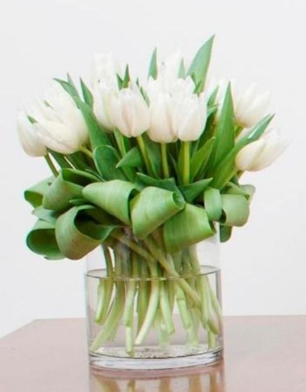 Οι τουλίπες στο εσωτερικό λευκά λουλούδια συμβολίζουν την αθωότητα