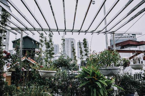 Η αστική κηπουρική εναλλακτική λύση στην απρόσωπη ζωή στη μεγάλη πόλη