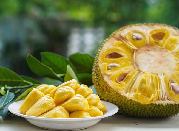 Vegan συνταγές jackfruit και ενδιαφέροντα γεγονότα για το εξωτικό υποκατάστατο του κρέατος jackfruit big ώριμο